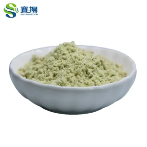 Factory Supply Bulk Organic Pumpkin Seed Protein Powder 70% Food Grade Pumpkin Seed Extract Powder