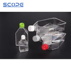 Disposable Regular U-Shaped Bottle Laboratory Cultivation Vessel 25 75 175 Cell Culture Flask