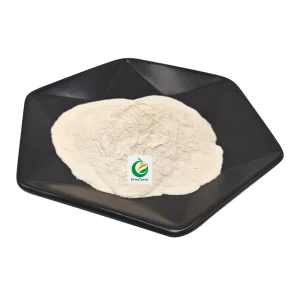 Food Additive Chickpea Protein Isolate ISO Certificated Chickpea Protein Isolate Powder