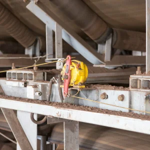 Industrial Belt Control Switch Featuring Pull Cord Emergency Stop