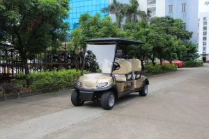 Acessórios para Carro de Golfe Legal na Rua 4 Lugares