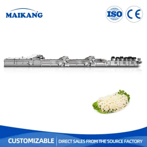 High Efficiency Fruit Vegetable Blanching Cooling Line for Boiling Beef and Pork