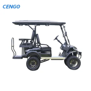 Enclosed Power Buggy