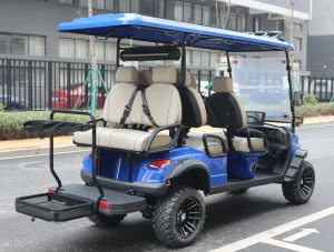 China Gasoline Golf Cart Manufacturer