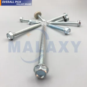 Premium SS Screws