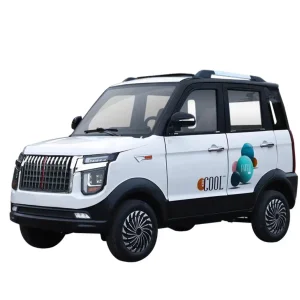 Coche Eléctrico Mini de Lujo para Adultos de Cuatro Asientos y Gran Espacio 60V 4-Wheel
