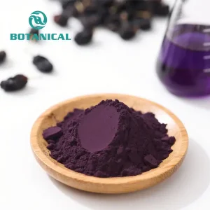 High-Quality Black Goji Berry Extract Powder