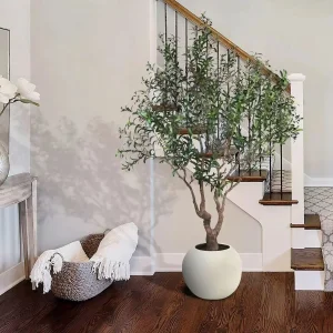 Realistic Olive Tree