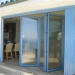Aluminum Storm Doors with Low-E Glass and Secure Locks