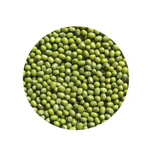Sortex Cleaned Green Mung Beans Fresh And Dried Bulk Packaging 99% Purity Low Moisture Best Price Uzbekistan Vigna Cowpea Dal