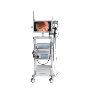 Flexible Gastroscope