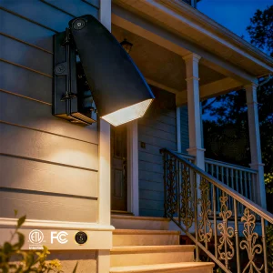 Wall Pack Light