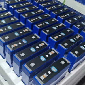 Large Single Cell