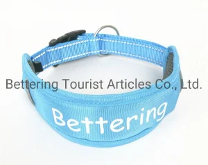 Blue Reflective Collar
