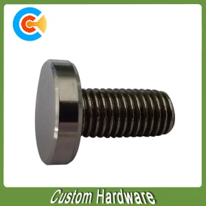 Cylindrical Head Screws