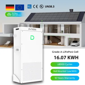 Dyness Powerbrick Max 16kw Hybrid Solar system 51.2V 314AH Lithium Iron Phosphate Battery For Solar system Home energy storage