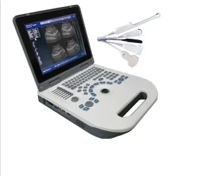 Animal Health Ultrasound