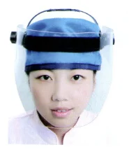 Large Protective Veil