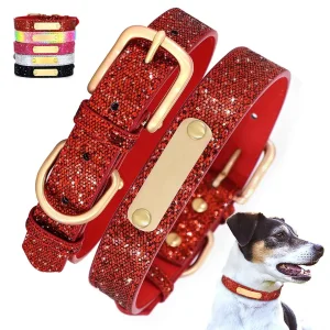 Glitter Pet Collar