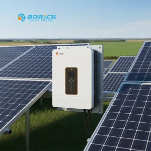 SRNE Hybrid Solar Inverter With Mppt Charge Controller