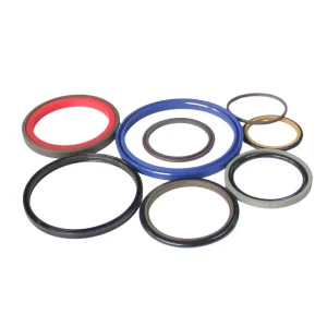Discount                     Hydraulic Cylinder Oil Piston Seal Rubber PTFE Asymmetric Rod Seals                 Pricelist, Quotes