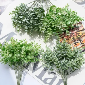 Eucalyptus Branches