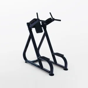 DIP & Leg Raise Station