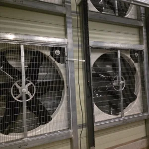 Chicken Cage Equipment