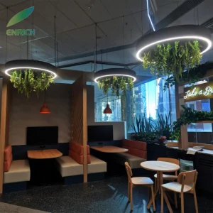 Decorative Plant Lighting