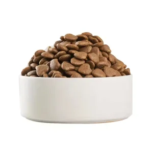 Complete Dog Food High Protein Dry Pet Food Grain Free Healthy Joints