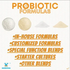 Biogrowing Provide One-Stop Solutions Probiotic Custom Blend Premix Powders