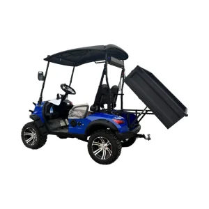 Sharefer Classic Electric Utility Buggy Electric Club Cargo Box Golf Cart for Sale