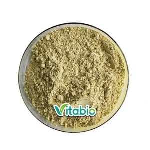 99% Natural Rosemary Antioxidant Leaf Extract Powder with Carnosic Acid Cosmetic Grade