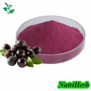 Polvo de Acai Berry soluble en agua de primera calidad, extracto de fruta de Acai Berry, suplemento diario en polvo de sabor super, liofilizado