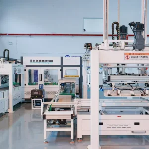 Carton Palletizing Machine