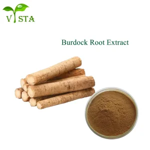 Burdock Root