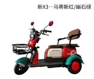 1000W 48/60/72V Adult Electric Tricycle Highly Cost Effective