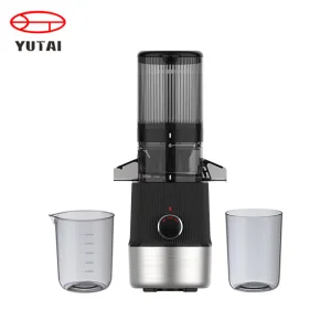 Professional Electric Juicer