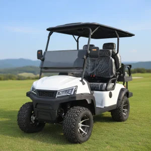 Luxury Chinese Electric 4 Seater Golf Cart with Luxury Seats for Golf Course and Use