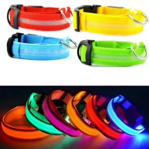 Luminous Collar