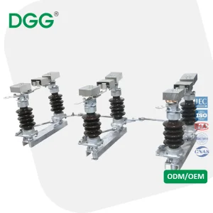 Dgg Gw4a-12 Interruptor de Aislamiento