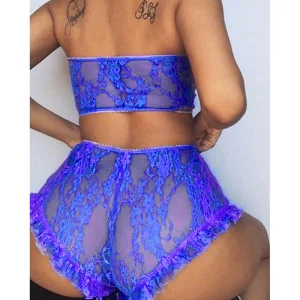 Accra Lace Sheer Babydoll Bodysuit Set