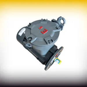 Low Voltage Motor