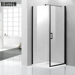 Black Frameless Shower