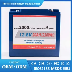 12V 20ah 12.8V 24ah Factory-Made LiFePO4 Battery Pack with Built-in PCM Ideal for UPS RV Golf Cart Yacht Marine Backup Power Solar Storage