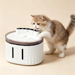Automatic Pet Feeder and Water Dispenser for Cats