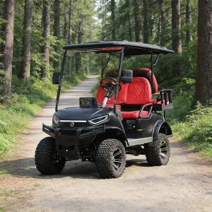 Industrial 48V/60V/72V Golf Cart for Sports Events Electric Golf Cart with Strong Hill-Climbing Ability