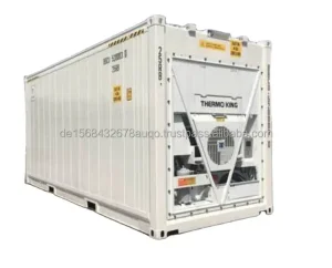 40ft Corten Steel Thermo King Reefer Container