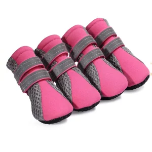 Zapatos Deportivos