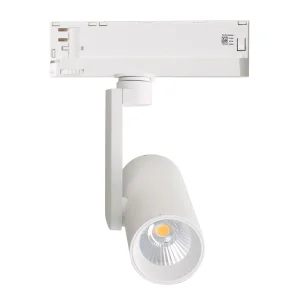 LIFUD Driver Side-Arm 3CCT Ra90 Adjustable Museum Showroom Retail Spot Light System Ceiling Black 30w Led Track Light